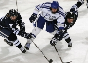 开云棋牌游戏-双城记，辽宁的稳与利拉德的狂