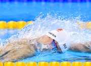 开云棋牌试玩-从几内亚到雷恩，伊布如何用实力打破质疑，完成足球生涯的华丽收割