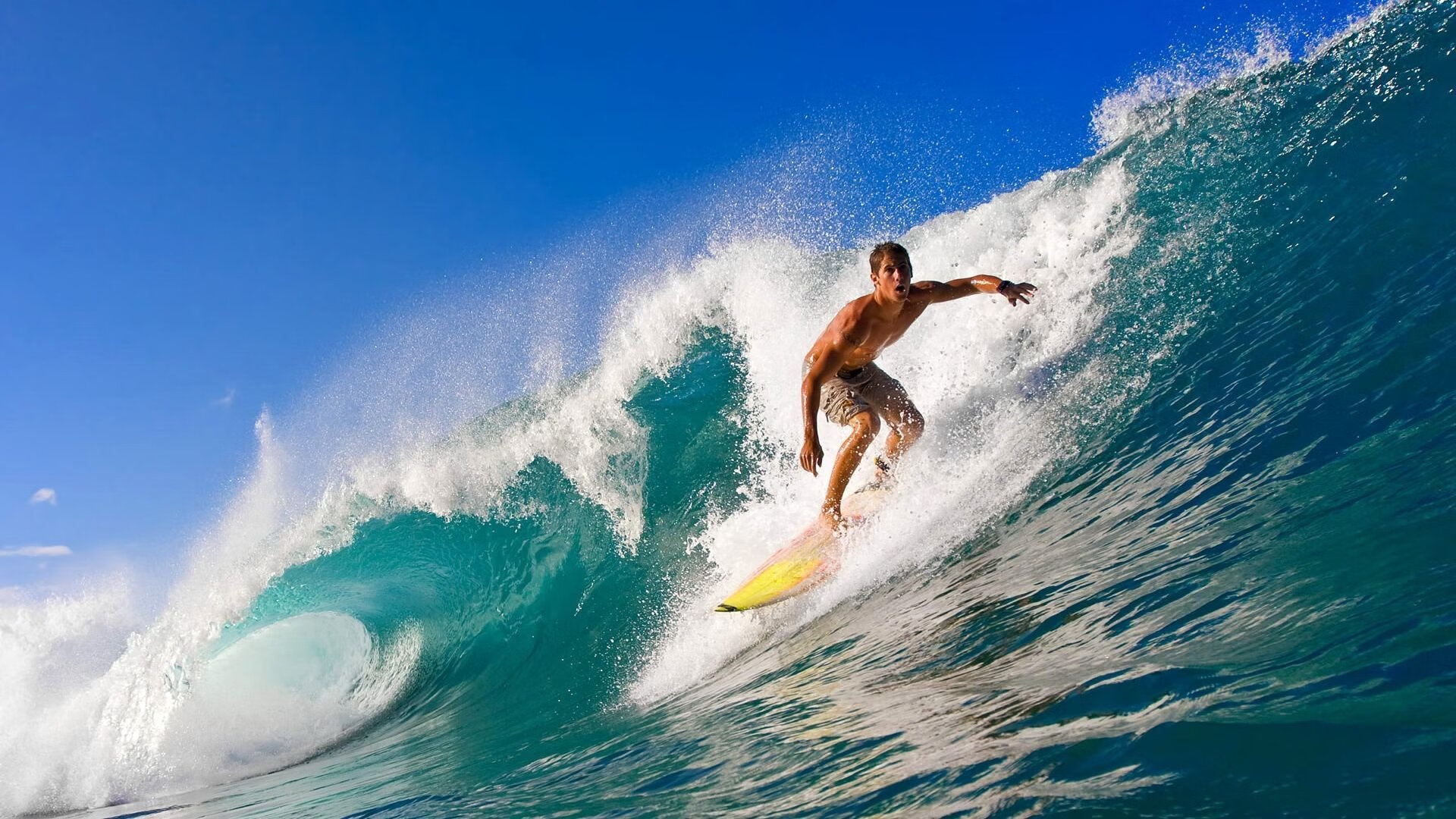 跨越山海的双重奏,广东关键战突围,文班亚马意甲赛场展统治力